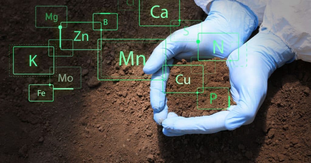 Soil Remediation & Testing in Ely